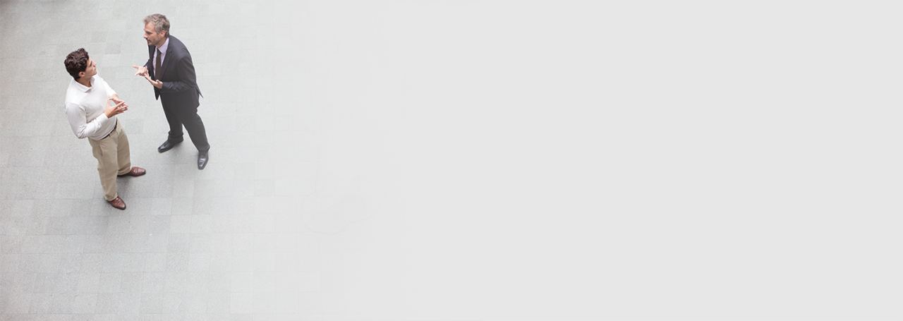 Lanksti partnerystė