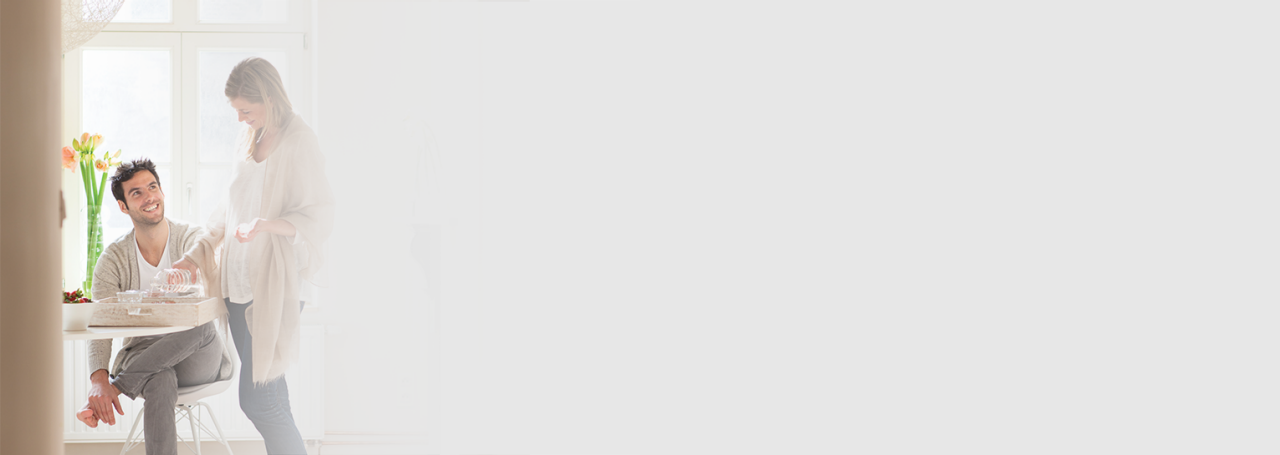 hibridinio šilumos siurblio šildymas